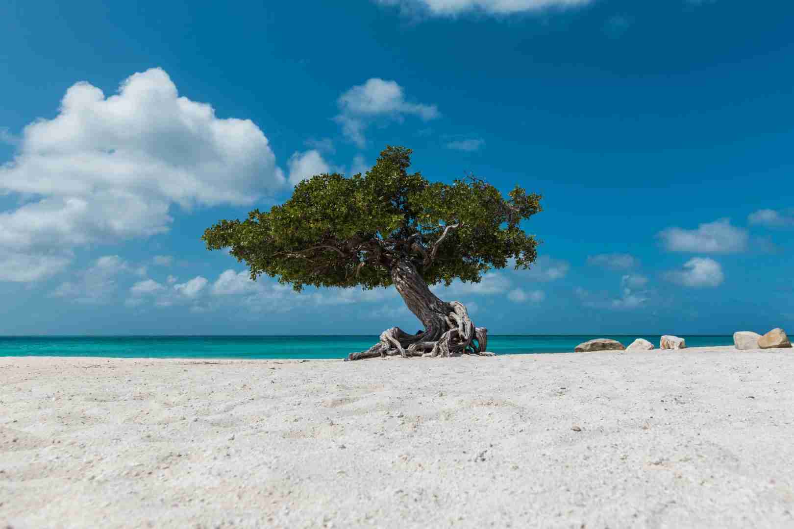 Aruba 2026: el destino caribeño que conquista a los viajeros chilenos con sol garantizado, bienestar y experiencias únicas