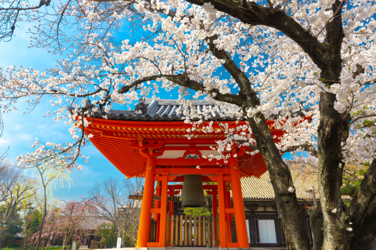 Japón exigirá autorización online a turistas de 71 países desde 2028