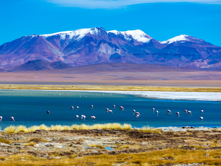 Sernatur abre convocatoria 2025 para cofinanciar proyectos de promoción turística internacional