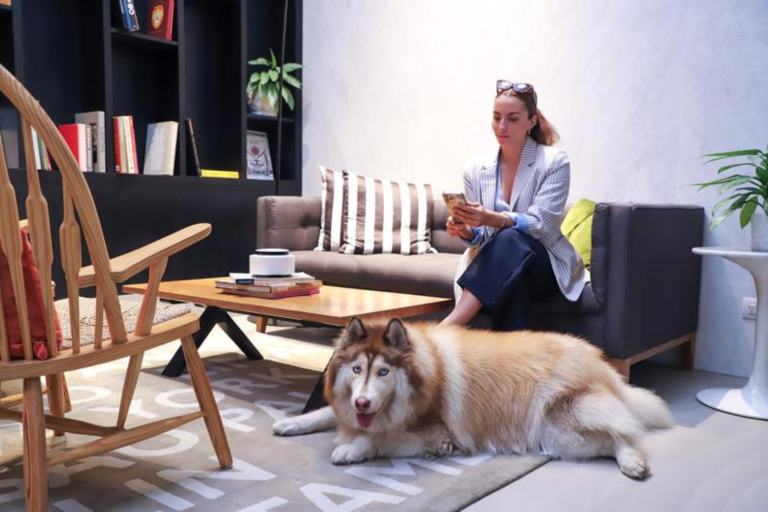 INNSiDE by Meliá Lima Miraflores estrena servicio Pet Friendly y fortalece su sello creativo en el corazón cultural de la capital peruana
